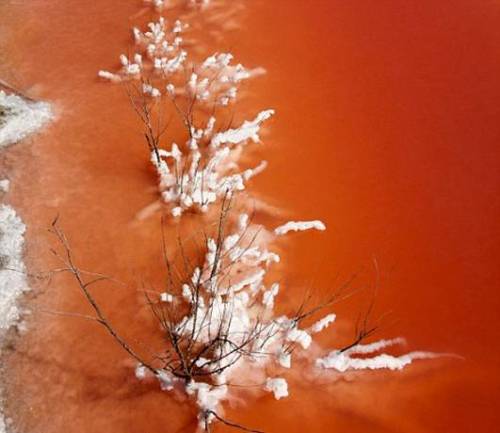 article-2185920-1474C85E000005DC-874_470x423