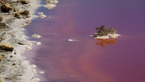 article-2185920-1474CEBB000005DC-688_964x565