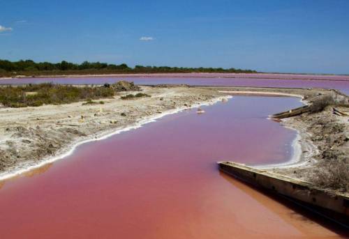 article-2185920-1474D100000005DC-357_964x678