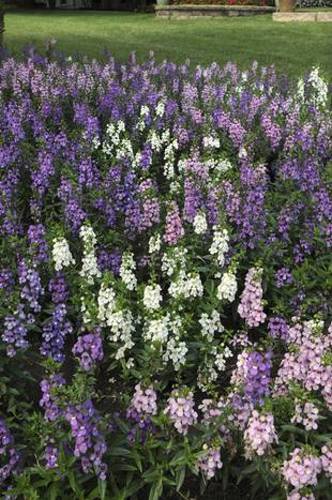 UP_1342737101_0870_3JX12I32R