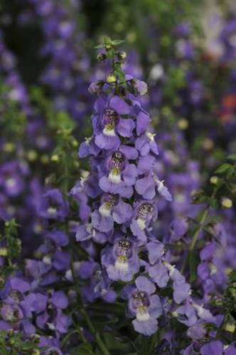 UP_1342737101_0912_3JX12I75G