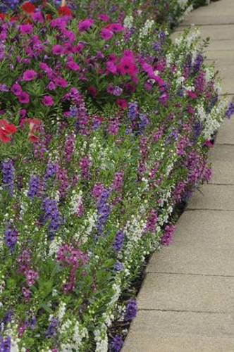 UP_1342737309_0001_3JX12MP77