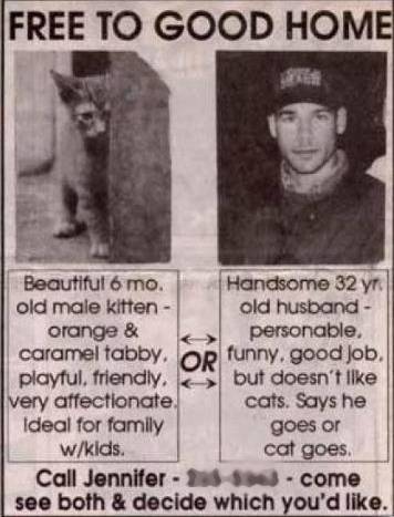 12033_502030456495377_1877117020_n