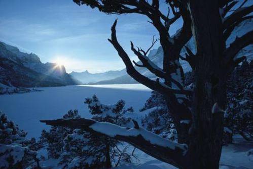 540261_10151130700351594_1151772480_n