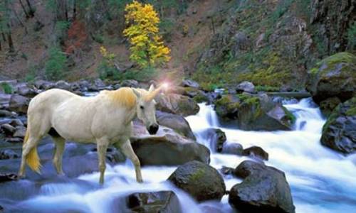 Spiral-horned-Unicorn-011