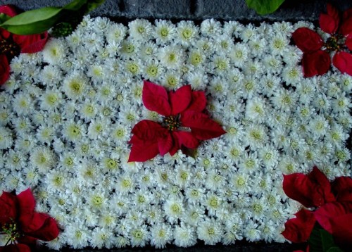 2062005883_92a97b0bd8_b