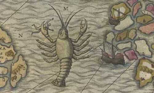 This giant lobster in Magnus’s “Carta Marina,” is described as an octopus in the accompanying text.  Polypus, which means “many-footed,” was often used to describe many different types of multi-limbed creatures, from lobster to octopi.  Such sweeping designations showed confusion about what types of creatures actually lived in the sea.