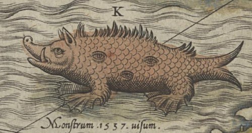 In Olaus Magnus’s “Carta Marina” from 1539, a sea pig – which was compared to heretics that distorted truth and lived like swine – dwelled in the North Sea.