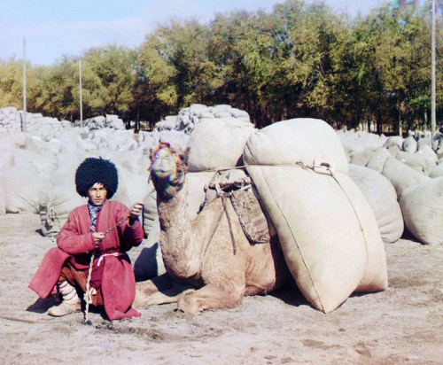 Turkmenistan man with camel, ca. 1907-1915.