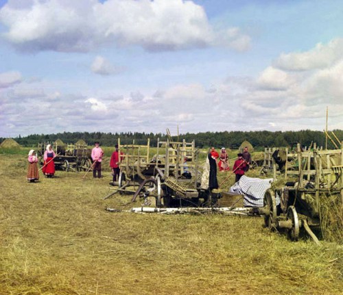 Hay gathering, 1909.