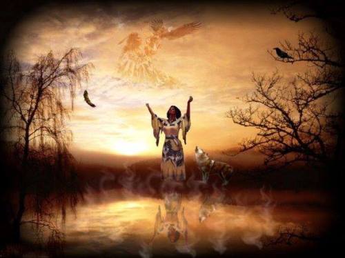 1098304_378999988893158_763274722_n