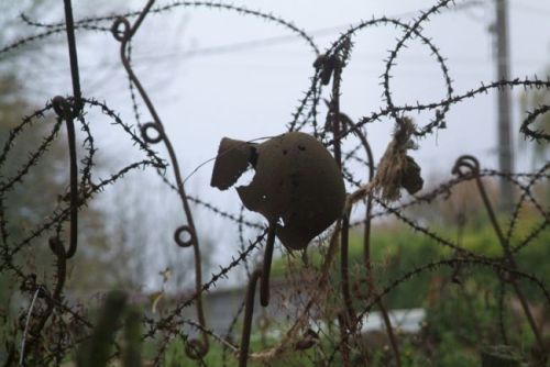 BarbedWire02