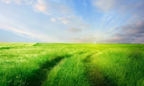 road-in-the-grass-field-310-2560x1600