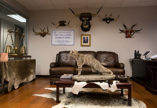 Miller spent $55,000 decorating his office.