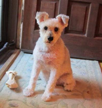 “Come a little closer.  I dare you.”